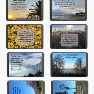Liberare Quotation Postcards