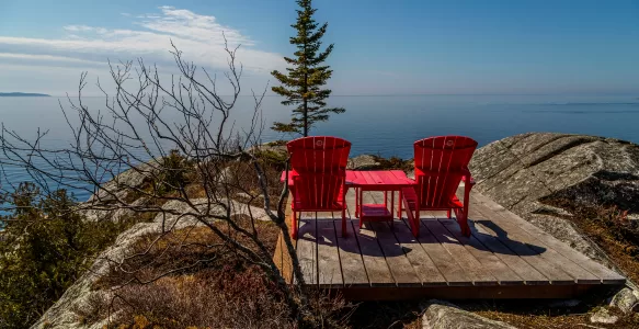 Therapeutic Coaching