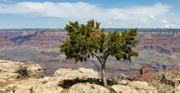 Stop Telling Your Employees to Develop Resilience