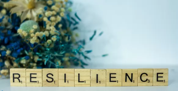 Building Personal Resilience: A Practical Guide for Thriving in Challenging Workplaces